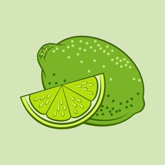 Illustration of Juicy Stylized Whole and Slice Lime. Icon for Food Apps Isolated on a Green