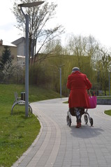 droga, motocykl, park, chodzenie, bicykle, baba, iść, lud, para, dzieci, kolarstwo, charakter, chłopak, drzew, rod, ćwiczenia, außenaufnahme, lato, czas wolny, sport, ulica, aktywność © Szymon