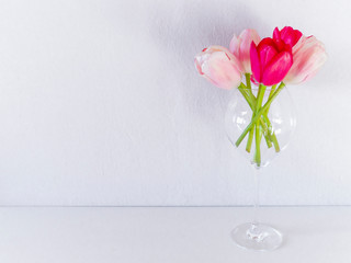 Beautiful vivid tulips in glass on white background. Copyspase. Concept for advertising of flowers