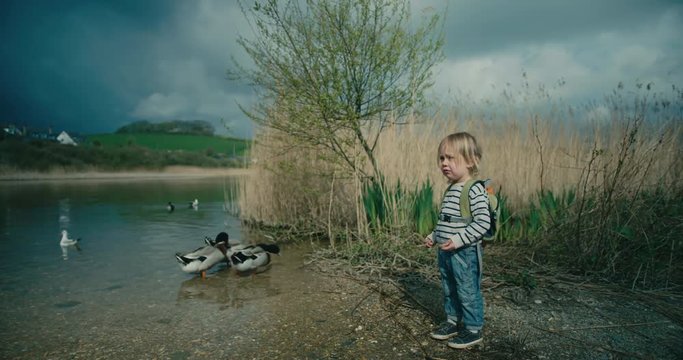 Little toddler standing by a pond looking at the ducks
