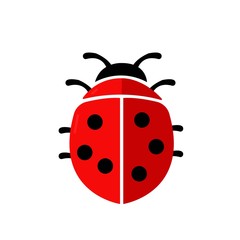 Ladybug or ladybird flat icon isolated on white background. Vector illustration. - Vector