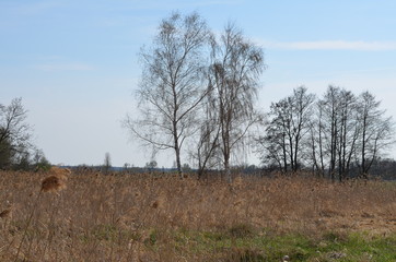 Foto Sobieniak © Szymon