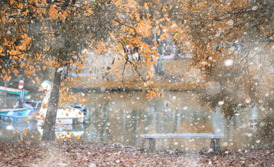 Autumn park in the first snow