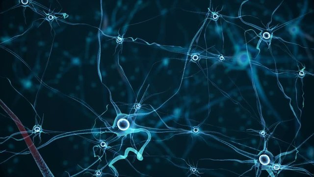 Real Neuron synapse network.