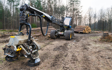Harvester felling head detail. Forestry vehicle in off road. Blue logging machine. Crane arm, pressure hosepipes and grapple. Hydraulic drive. Trunks heap. Bark beetle calamity. Deforest, environment.