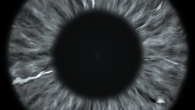 The gray eye is an extreme close-up of the iris and pupil, widening and tapering.