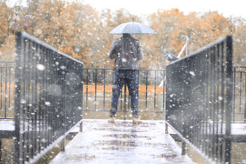 Autumn park in the first snow