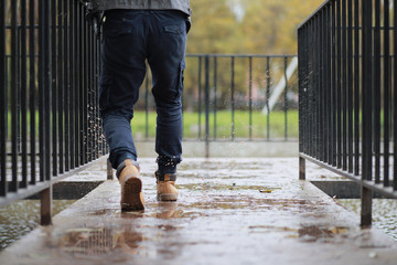 Autumn background in the park