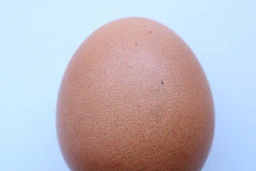 Egg
