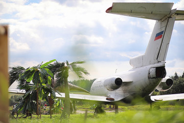Plane in the jungle. The plane landed in the dense vegetation of the palms. Journey to the island in the jungle.