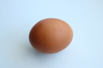 Egg
