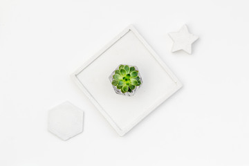 modern design of work desk with plant on white background top view
