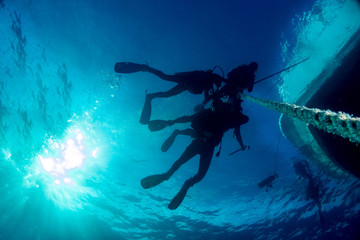 Blue Sea Scuba Diving