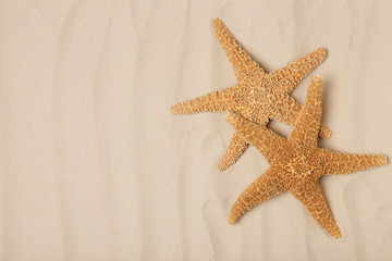 Fototapeta na wymiar Starfishes on beach sand, top view with space for text