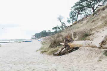 Einsamer Strand