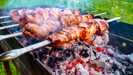 Skewers roasted on the grill with the coals on the outdoors