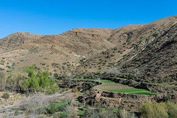 Atlas Mountains in Morocco with Terraces