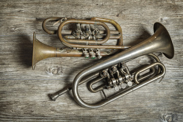 Old silver trumpets © Luka