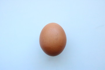 Egg