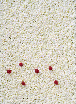 Cottage cheese on a tray and raspberries