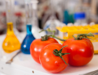 Tomatoes on table with lab equipment