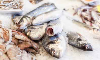 Display with assorted seafood
