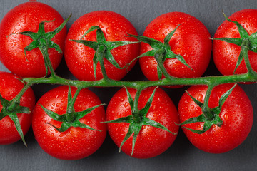 Ripe tomatoes on a branch close-up.
