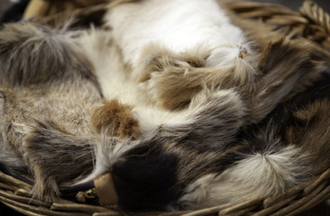 Goat skins fur