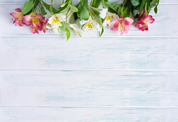 Template birthday greeting card. Light wooden background with flowers of astormia in pink and white. The basis for the congratulatory banner. Banner with flowers and copispeys.