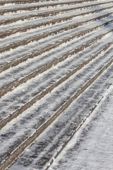 Steps in the snow in the sun