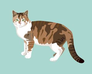 Cat vector FLAT DESIGN color trend graphic illustration