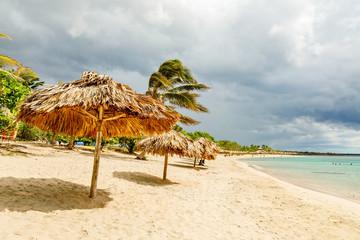 Rancho Luna sandy beach with palms and straw umrellas on the shore, Cienfuegos, Cuba