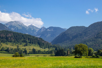 Fototapeta na wymiar Summer sunny scene of mountains in Triglav National Park in Slovenia