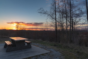 Beautiful sunset on a spring evening in the park