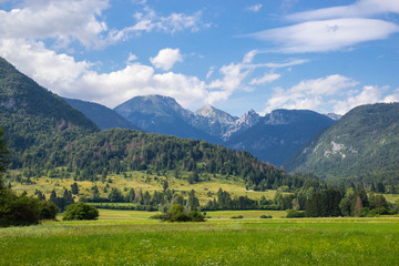 Obraz premium Summer sunny scene of mountains in Triglav National Park in Slovenia