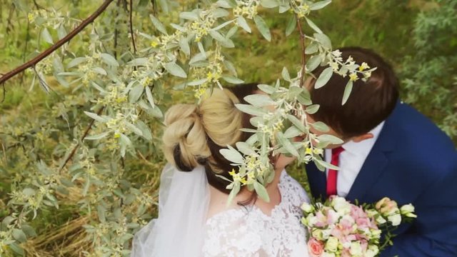 Newlyweds kiss on the branches of a flowering tree