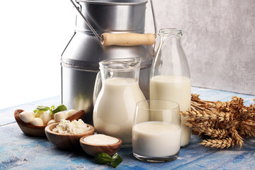 milk products. tasty healthy dairy products on a table. sour cream in a white bowl, cottage cheese bowl, cream in a a bank and milk jar, glass bottle and in a glass