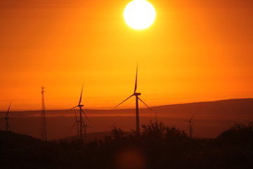 Obraz premium Central Washington Wind Turbines at Sunrise