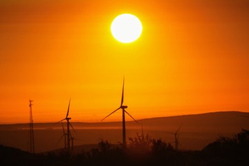 Obraz premium Central Washington Wind Turbines at Sunrise