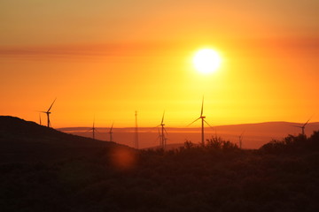 Central Washington Wind Turbines at Sunrise