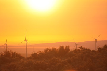Fototapeta na wymiar Central Washington Wind Turbines at Sunrise