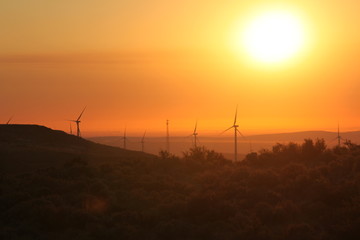 Fototapeta na wymiar Central Washington Wind Turbines at Sunrise