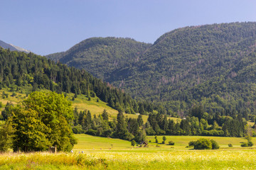 Summer sunny scene of mountains in Triglav National Park in Slovenia