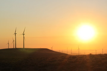 Obraz premium Central Washington Wind Turbines at Sunrise