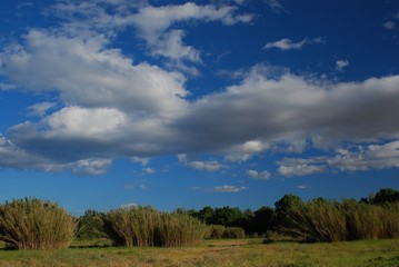 Fototapeta na wymiar Low clouds of late spring, Rufea , Lleida