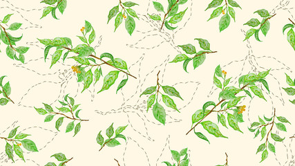 Botanical background, laurel, ficus, tea. Design element for cover, invitation, booklet, printing. Colorful seamless pattern. Green spring leaves.