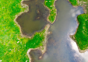 aerial view of swamp and lake