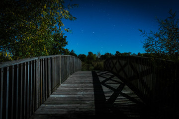 wooden bridge over lake at night