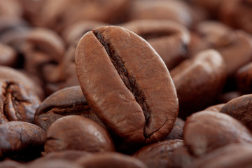 coffee beans