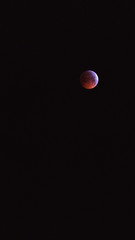 Blood Moon